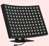 Zenith Body Works ApexBeam Red Light Therapy Panel