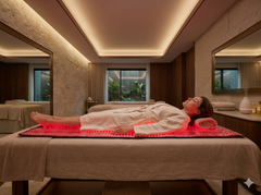 Zenith Body Works CoreBlanket Red Light Therapy System