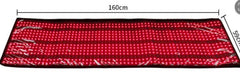 Zenith Body Works CoreBlanket Red Light Therapy System